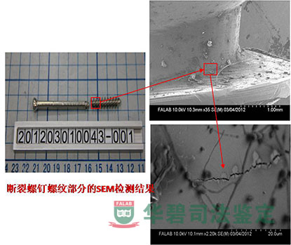 斷裂螺釘螺紋部分的SEM檢測結(jié)果