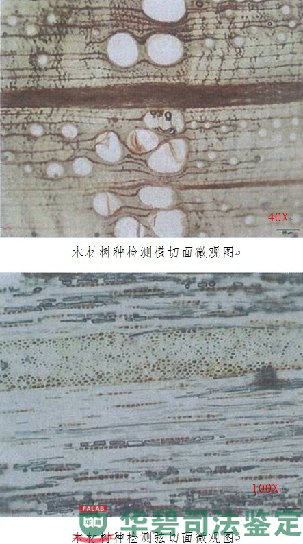 實(shí)驗(yàn)室檢測結(jié)果圖片（續(xù)）